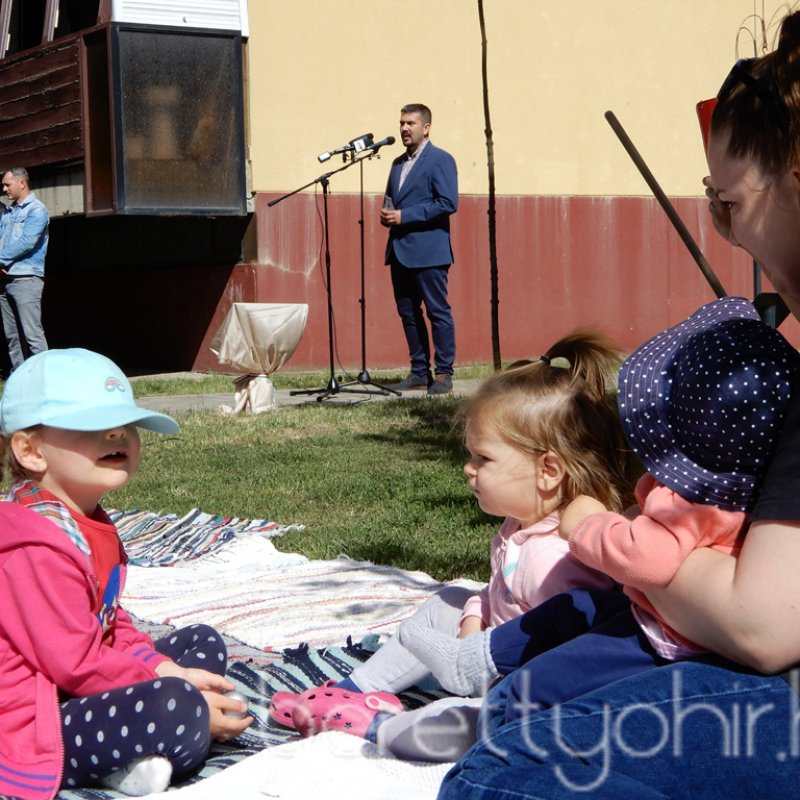 Életfa ültetés a város napján 22